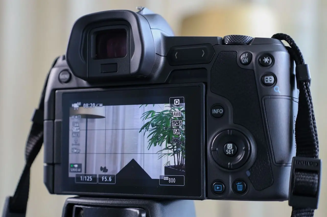 Picture from a camera.